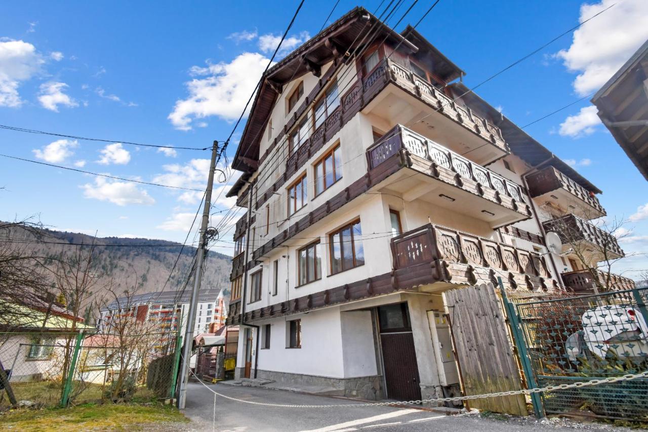 Апартаменти Cozy Montain Studio Сіная Екстер'єр фото